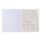 Тетрадь предметная "Капибара", 48 листов в клетку "Английский язык", обложка мелованный картон, тиснение лен, блок офсет - фото 24430786