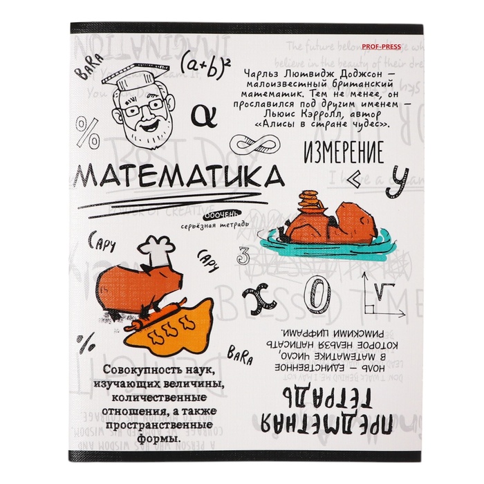 Тетрадь предметная "Капибара", 48 листов в клетку "Математика", обложка мелованный картон, тиснение лен, блок офсет - Фото 1