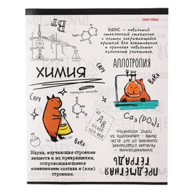 Тетрадь предметная "Капибара", 48 листов в клетку "Химия", обложка мелованный картон, тиснение лен, блок офсет