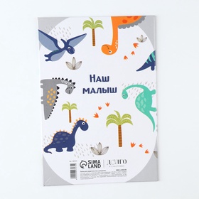Папка для свидетельства о рождении «Динозаврики», А5