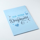 Папка для свидетельства о рождении «Мои первые документы», 32×22.3 см - фото 44811240