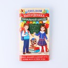 Диплом "Выпускника  начальной школы", 19х11х0,9 см, набор 5 шт - фото 809195253