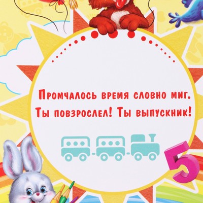 Диплом выпускника детского сада, 19×11×0.9 см, набор 5 шт.