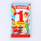 Диплом выпусника "Об окончании 1 го класса", 19х11х0,9 см, набор 5 шт - фото 809195266