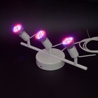 Настенный светодиодный светильник для досветки растений "Талита" 30Вт - Фото 4