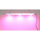 Диодный светильник для теплиц и домашних хозяйств "Процион" мощностью 60 Вт - фото 301370083