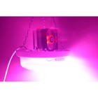 LED GROW светильник для теплиц, гроубоксов, оранжерей "Менкалиан" 150 Вт - Фото 5