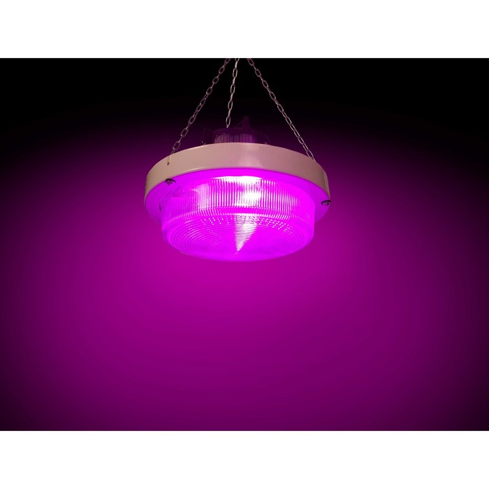 Мощный LED светильник для гроубоксов и теплиц "Хедус" 200 Вт, 24.000 lux - фото 1908172268