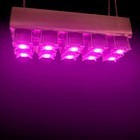 Светодиодный светильник-фитопанель для гроубоксов, тепличек "Дубхе" 500Вт - Фото 5