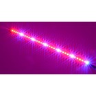 Мощная светодиодная фитолинейка для рассады  "Кастор" 40см - Фото 3