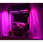 Светильник на присоске для растений (рассады, цветов и др.) на подоконнике "Шедар" 40см - Фото 6