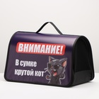 Сумка - переноска для животных каркасная, 45 х 25 х 30 см фиолетовая с котом - Фото 3