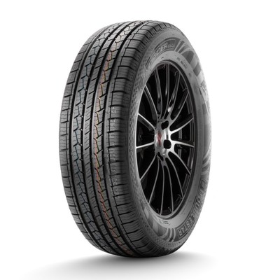 Шина летняя DoubleStar DS01 215/55 R18 95H