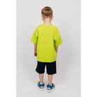 Футболка для мальчика, рост 104 см, цвет салатовый - Фото 2