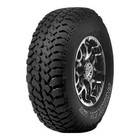 Шина летняя Roadstone Roadian MT 31/10.5 R15 109Q 10524814 - фото 309798038