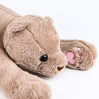 Мягкая игрушка «Медведь», 60 см, цвет коричневый - Фото 4