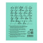 Набор тетрадей «Зелёная обложка» 20 штук, 12 листов в косую линейку, плотность 60 г/м² - Фото 4