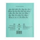 Набор тетрадей «Зелёная обложка» 20 штук, 24 листа в линейку, плотность 60 г/м² - Фото 4