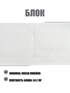 Набор тетрадей «Зелёная обложка» 10 штук, 12 листов в косую линейку, эконом, плотность 60 г/м²  (артикул 10336607)  большой выбор товаров оптом и в розницу по низким ценам с доставкой