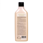 Шампунь для волос Soell Professional питание и здоровый блеск, 400 мл - Фото 2