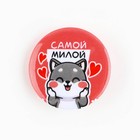 Значок металлический , закатной «Детский для мальчика и девочки», d=2,5 см, МИКС - Фото 8