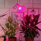 Фитолампа для растений светодиодная ЭРА красно-синего спектра 14 Вт Е27 - Фото 3