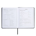 Дневник школьный для 1-11 классов, ОГНЕННЫЙ ДРАКОН, твёрдая обложка, искусственная кожа, аппликация, блинтовое тиснение, тиснение фольгой, универсальная шпаргалка, 48 листов, блок 80г/м2 - фото 24191611