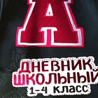 Дневник школьный для 1-4 класса, "БОМБЕР", обложка мелованная бумага, глянцевая ламинация, тиснение фольгой, универсальная шпаргалка, 48 листов, блок 65г/м2 - фото 24191737