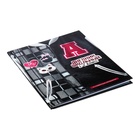 Дневник школьный для 1-4 класса, "БОМБЕР", обложка мелованная бумага, глянцевая ламинация, тиснение фольгой, универсальная шпаргалка, 48 листов, блок 65г/м2 - фото 24191738