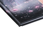 Дневник школьный для 1-4 класса, "БАЛЕРИНА", обложка мелованная бумага, глянцевая ламинация, тиснение фольгой, универсальная шпаргалка, 48 листов, блок 65г/м2 - фото 24554345