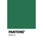 Краска акриловая матовая в тубе 75мл CALLIGRATA, КМ011 Травяная зеленая, пантон 555С - Фото 3