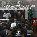 Постельное бельё "Этель" 2 сп Golden Christmas 175х215 см, 200х220 см, 70х70 см - 2 шт, бязь 10385164 - фото 12571437