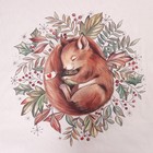 Постельное бельё 1.5-спальное «Этель. Белочка», бязь - Фото 3