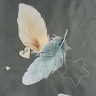 Постельное бельё 1,5сп Экономь и Я "Перо" 143*215см, 145*214см, 50*70см-1шт, 60г/м2, микрофибра - фото 24535124