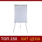 Флипчарт магнитно-маркерный Calligrata СТАНДАРТ, 70×100 см, в алюминиевом профиле, на треноге - Фото 2