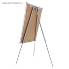 Флипчарт магнитно-маркерный Calligrata СТАНДАРТ, 70×100 см, в алюминиевом профиле, на треноге - Фото 4