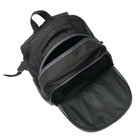 Рюкзак школьный, 40 х 33 х 19 см, эргономичная спинка, Stavia "Монохром", чёрный/оранжевый - Фото 9