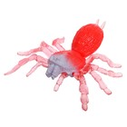 Игрушка-тянучка "Паук"с силиконовыми лапками, МИКС  в ПАКЕТЕ - фото 31585273