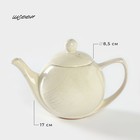 Чайник керамический «Шебби», 1,2 л, d=8,5 см - фото 4451767