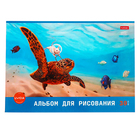 Альбом д/рис А4 30л на скрепке Узнай себя, обл мел карт, бл 100 г/м2, МИКС - фото 9899677