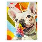 Тетрадь 48л лин Узнай себя!, обл мел карт, скругл угл, бл 65г/м2, МИКС (комплект 2 шт) - фото 24093727