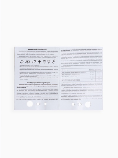Футбольный мяч TORRES BM 300, F323655, машинная сшивка, 32 панели, р. 5, TPU