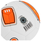Мяч футбольный TORRES BM 700 F323634, PU, гибридная сшивка, 32 панели, р. 4 - фото 4451881