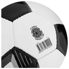 Мяч футбольный TORRES F123615, PVC, ручная сшивка, 32 панели, р. 5 - Фото 3