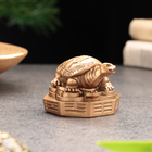 Сувенир "Черепаха на деньгах", гипсобетон, 4 см, 5х6х3,5 см - Фото 2