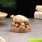 Сувенир "Черепаха на деньгах", гипсобетон, 4 см, 5х6х3,5 см - Фото 4