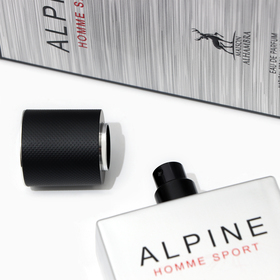 Парфюмерная вода мужская Alpine Sport (по мотивам Allure Home Sport Сhanel), 100 мл