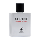 Парфюмерная вода мужская Alpine Sport (по мотивам Allure Home Sport Сhanel), 100 мл - Фото 3