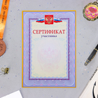 Сертификат участника "Символика РФ" синяя рамка, бумага, А4 - фото 321570434