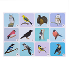 Набор плакатов "Дикие и домашние животные и птицы"  с методическими рекомендациями, 4 плакат 1047263 - Фото 2
